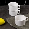 soup mug with handles